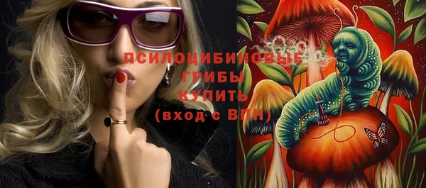 гидра Бронницы