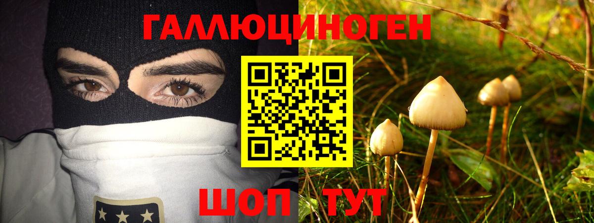 Галлюциногенные грибы GOLDEN TEACHER Ейск