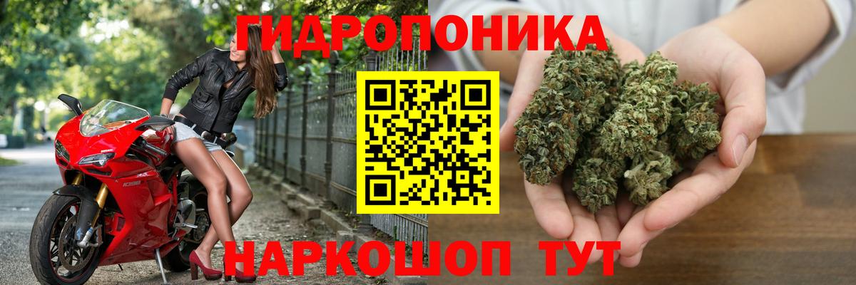 Конопля Bruce Banner  Шишки марихуана план  Вход с VPN  Ейск  Бошки Шишки Bruce Banner 
